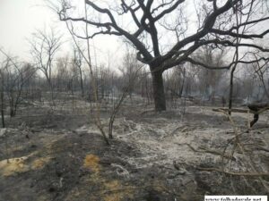 Incêndio