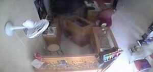 Foto: Interior da loja (Elzo Paes|Portal Alvorada Notícias)