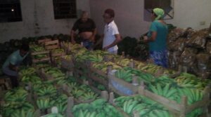 Alimentos