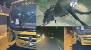 Crédito: Vilson Nunes