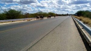 Imagem encaminhada por leitor