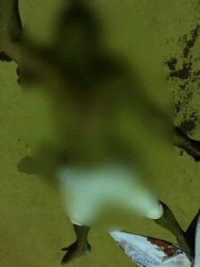 Foto:Mateus Souza
