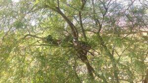 Foto:Antônio Farias