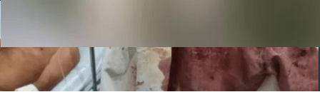 Imagem divulgada nas redes sociais