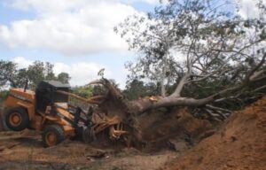 Crédito: Borkenhagen/imagem meramente ilustrativa